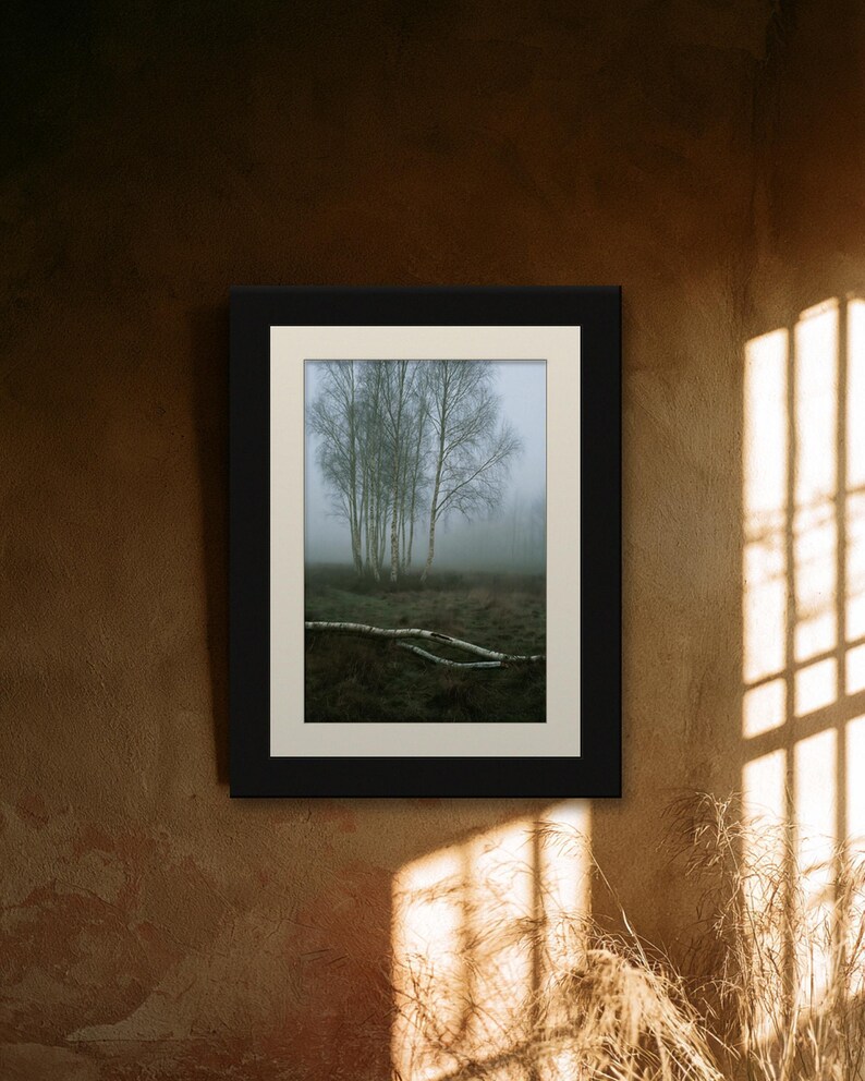 Silver Birch in Fog Print, Fallen Trunk Woodland Art, Misty Winter Bedroom Art image 6