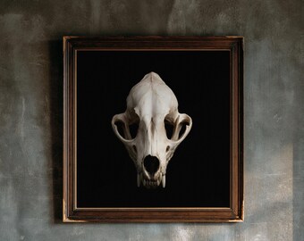 May include: A square framed wall art piece featuring a centered, off-white animal skull set against a solid black background. The frame is constructed from dark brown wood with a detailed, textured border and a thin gold inner trim.