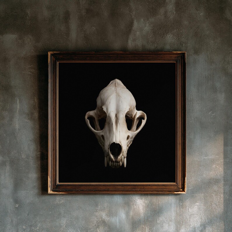 Lámina con calavera de zorro, arte gótico de gabinete de curiosidades, decoración Dark Academia (descarga digital) imagen 1