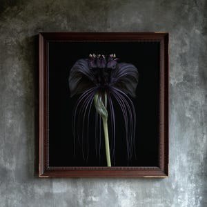Black Bat Flower Print, Dark Academia Gothic Wall Art (Digital Download) image 1