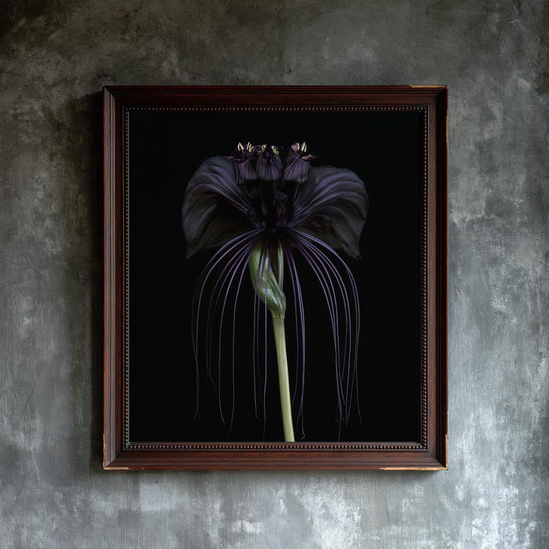 Black Bat Flower Print, Dark Academia Gothic Wall Art (Digital Download) image 1