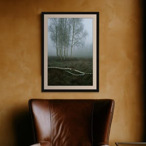 Silver Birch in Fog Print, Fallen Trunk Woodland Art, Misty Winter Bedroom Art image 7