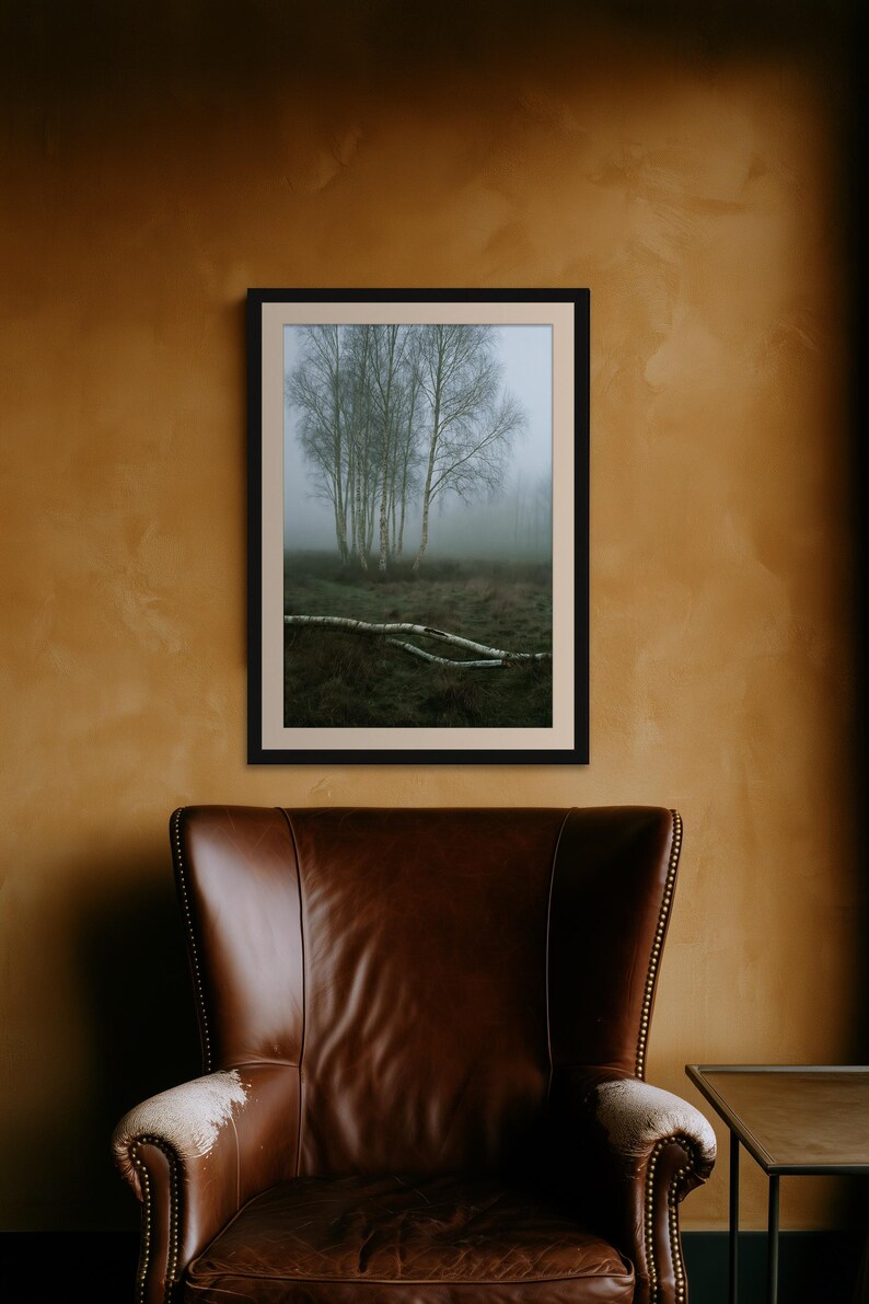 Silver Birch in Fog Print, Fallen Trunk Woodland Art, Misty Winter Bedroom Art image 7
