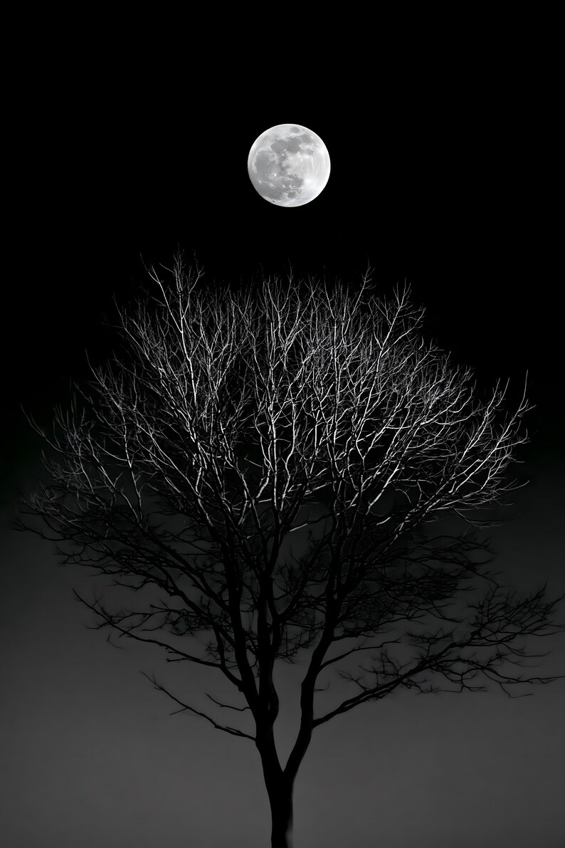 Full Moon Behind Oak Tree Print, Moody Night Sky Wall Art (Digital Download) image 12