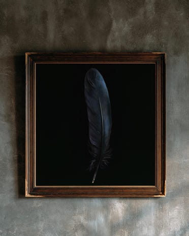 Raven Feather print from the Duskwood Fell shop