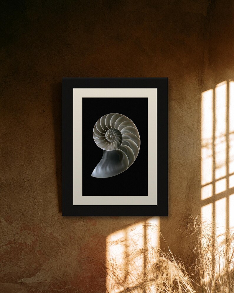 Lámina con sección transversal de concha de nautilo, arte mural de estilo Dark Academia, decoración gótica para armarios (descarga digital) imagen 9