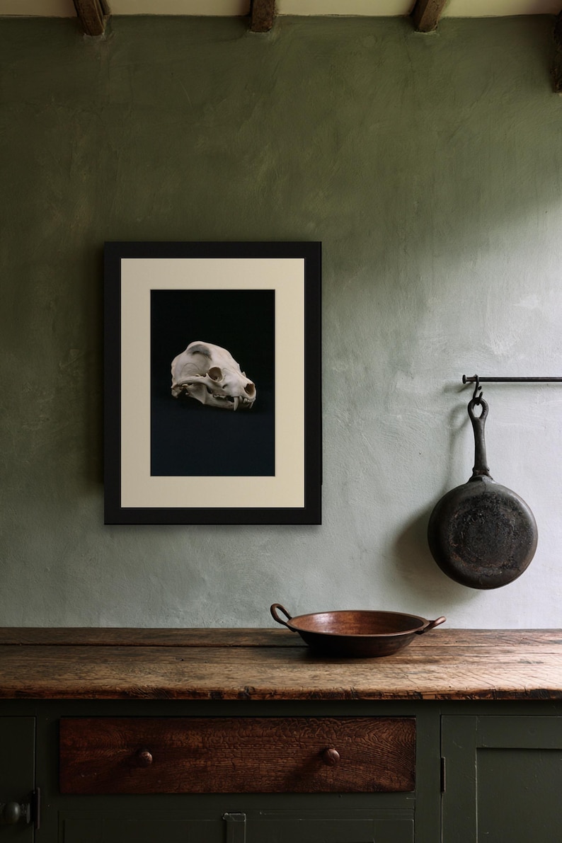 Animal Skull Print, Dark Academia Gothic Decor (Digital Download) image 8