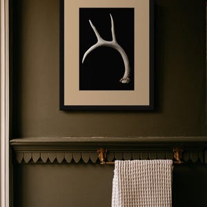 Weathered Antler Print, Dark Academia Wall Art, Gothic Decor (Digital Download) image 6