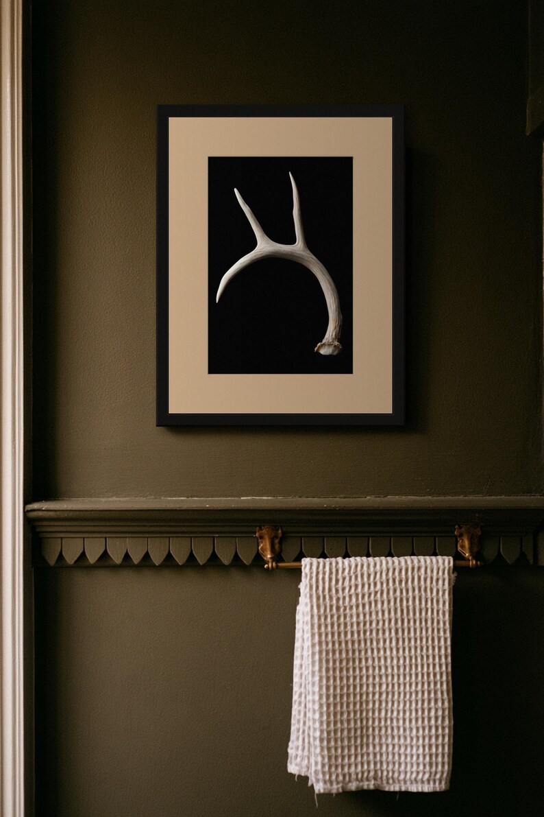 Weathered Antler Print, Dark Academia Wall Art, Gothic Decor (Digital Download) image 6