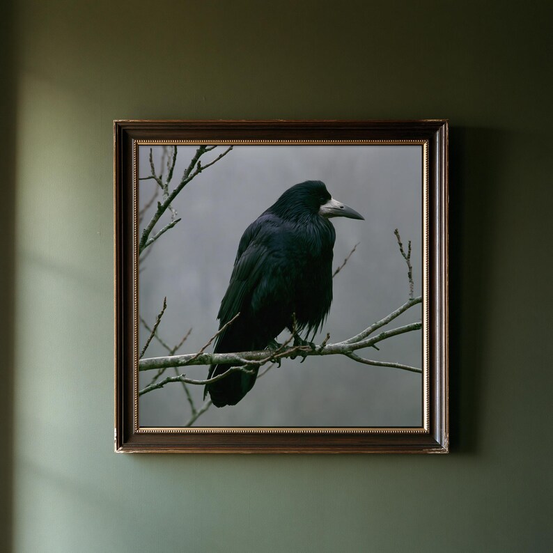 Rook on Ash Branch Print, Gothic Cottagecore Bird Art (Digital Download) image 1