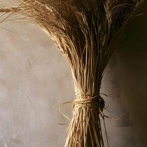 Herbarium-Druck einer getrockneten Weizengarbe, Wandbild im Stil der Dark Academia, gotische Schrankdekoration (Digitaler Download) Bild 4
