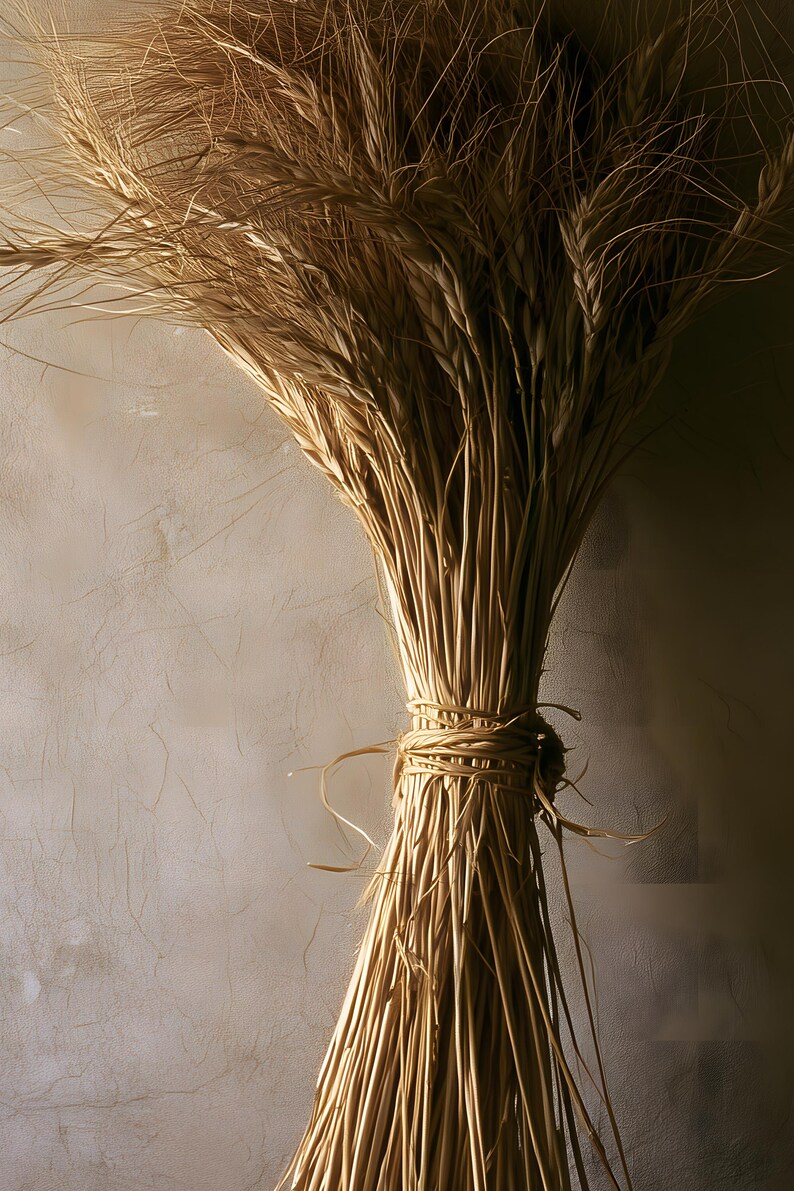 Herbarium-Druck einer getrockneten Weizengarbe, Wandbild im Stil der Dark Academia, gotische Schrankdekoration (Digitaler Download) Bild 4