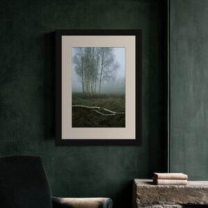 Silver Birch in Fog Print, Fallen Trunk Woodland Art, Misty Winter Bedroom Art image 8