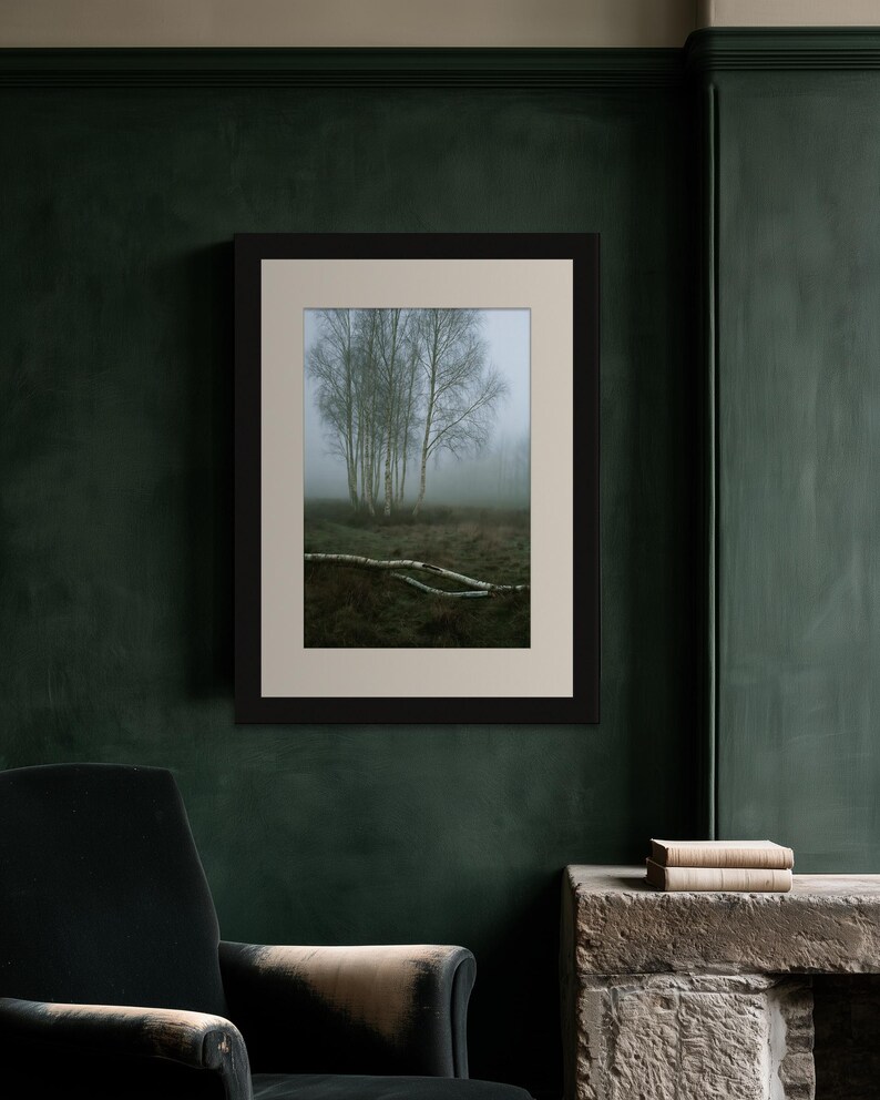 Silver Birch in Fog Print, Fallen Trunk Woodland Art, Misty Winter Bedroom Art image 8