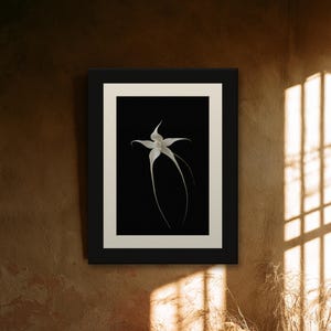 Ghost Orchid Print, Dark Academia Wall Art, Gothic Cabinet of Curiosities Decor, Digital Download image 3