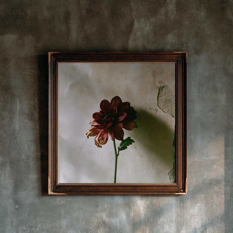 Burgundy Dahlia Print, Dark Academia Wall Art (Digital Download) image 1