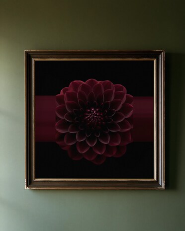 Black Dahlia print from the Duskwood Fell shop