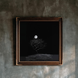 May include: A square wall art piece featuring a dark, high-contrast black and white photograph of a lone, leafless tree on a small hill under a full moon, encased in a dark brown wooden frame with intricate carved detailing along the edges.