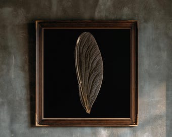 May include: A square framed wall art piece featuring a single, translucent insect wing with intricate, light-colored veining set against a solid black background. The frame is made of dark, weathered wood with a subtle, decorative inner border.