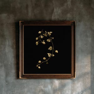 May include: A square wall art piece featuring a dark brown wooden frame with a beaded inner edge. Inside, a black background displays a single, delicate, golden-toned hop vine with multiple small, textured hop cones and thin, winding stems.