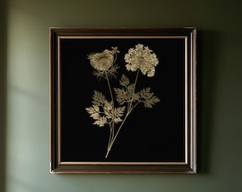 May include: A square framed wall art piece featuring a gold-toned botanical illustration of two Queen Anne's lace flowers with intricate, feathery leaves against a solid black background, enclosed in a dark brown wooden frame with gold trim.