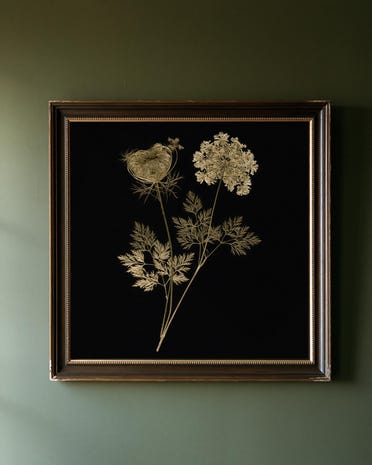 Queen Anne's Lace print from the Duskwood Fell shop