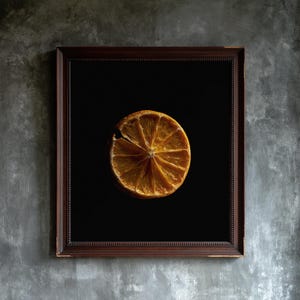Dried Orange Slice Print, Amber Citrus Art, Dark Kitchen Wall Decor (Digital Download) image 1