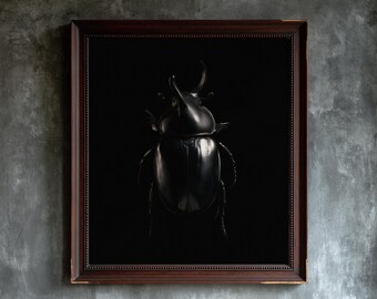 May include: A framed wall art piece featuring a high-contrast, glossy black rhinoceros beetle centered against a solid black background. The artwork is enclosed in a dark brown wooden frame with a beaded inner edge, showcasing a detailed insect.