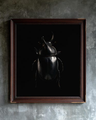 Rhinoceros Beetle print from the Duskwood Fell shop