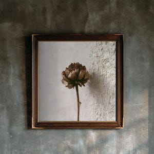Dried Dahlia Herbarium Print, Dark Academia Wall Art, Gothic Cabinet Decor (Digital Download) image 1