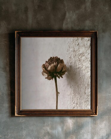 Dried Dahlia print from the Duskwood Fell shop