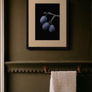 Damson Plums Print, Fruit on Twig Art, Dark Cottagecore Kitchen Art, Plum Blue Printable image 8