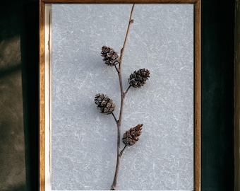 May include: A framed wall art piece featuring a vertical twig with four small, dark brown pinecones centered against a textured, light gray background. The artwork is enclosed in a simple, medium-toned wooden frame with a clean, rectangular border.