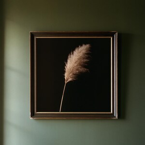 Pampas Grass Herbarium Print, Dark Academia Wall Art, Gothic Cabinet of Curiosities Decor, Digital Download image 1