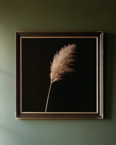 Pampas Grass print from the Duskwood Fell shop