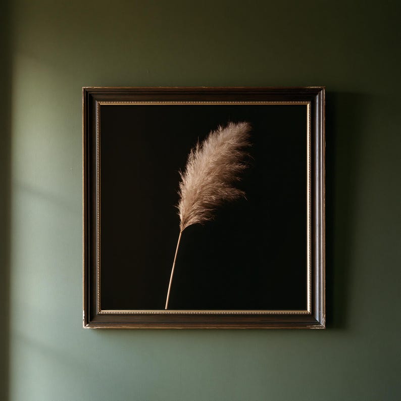 Pampas Grass Herbarium Print, Dark Academia Wall Art, Gothic Cabinet of Curiosities Decor, Digital Download image 1