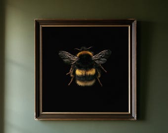 May include: A square framed wall art piece featuring a detailed, high-contrast photograph of a fuzzy bumblebee with black and yellow stripes and translucent wings centered against a solid, deep black background within a dark brown wooden frame.