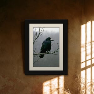 Rook on Ash Branch Print, Gothic Cottagecore Bird Art (Digital Download) image 6