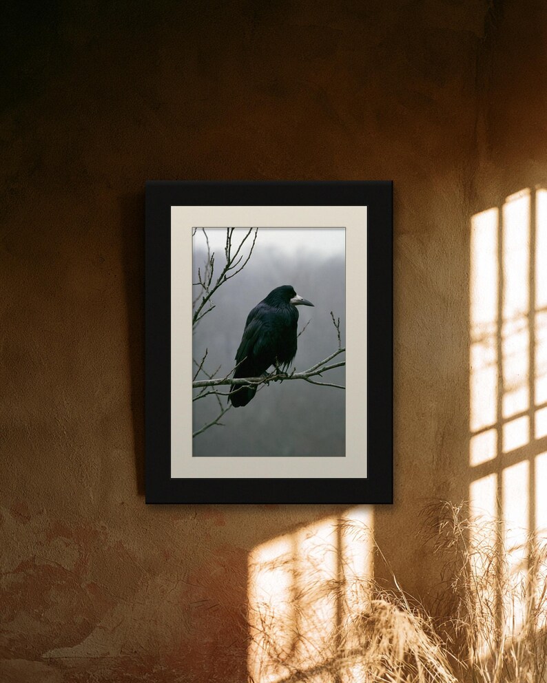 Rook on Ash Branch Print, Gothic Cottagecore Bird Art (Digital Download) image 6