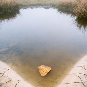 Moor Pool, Autumn Print, Dark Academia Wall Art, Moody Countryside Decor, Digital Download image 4
