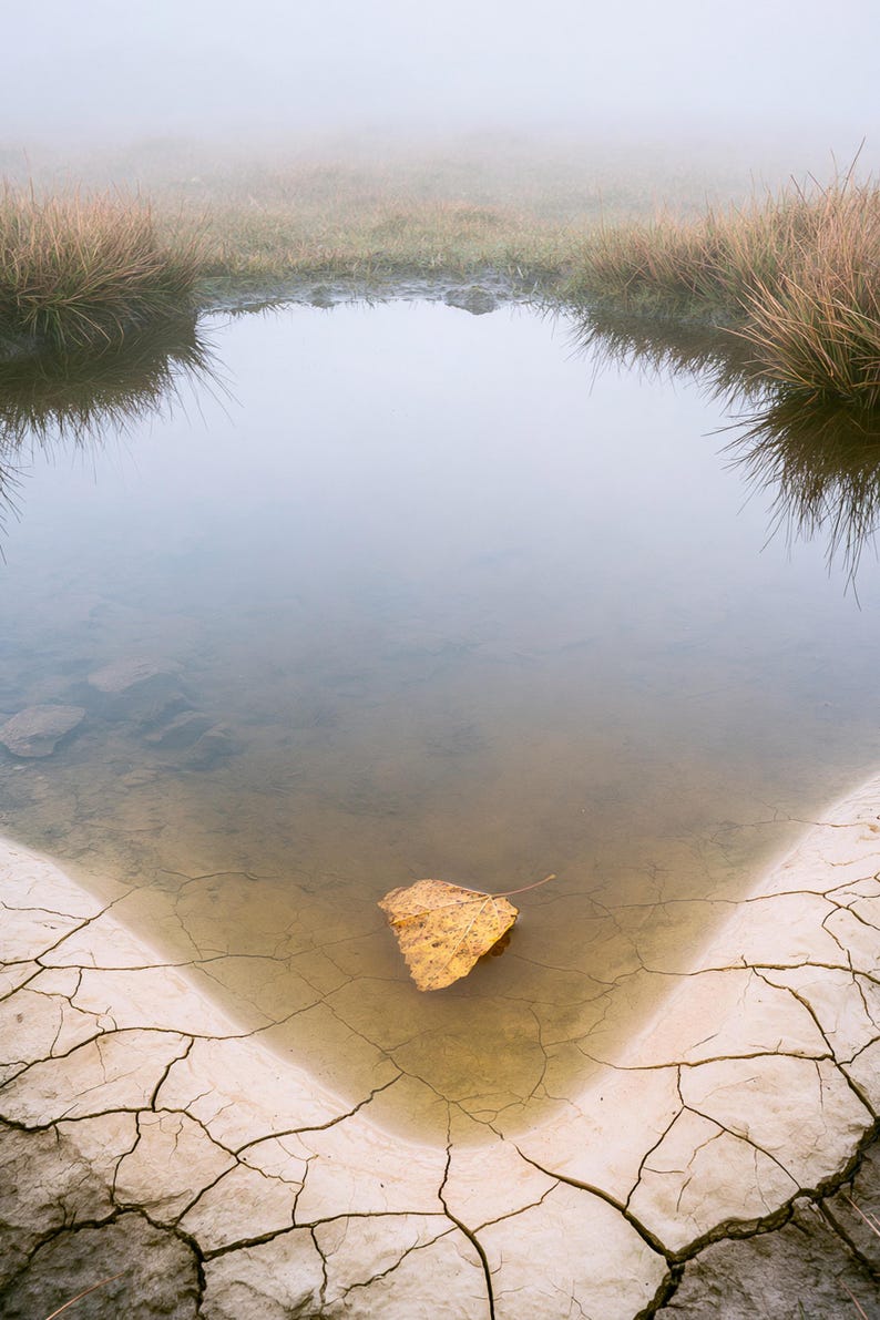 Moor Pool, Autumn Print, Dark Academia Wall Art, Moody Countryside Decor, Digital Download image 4