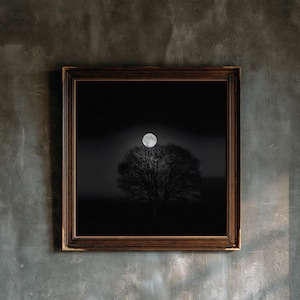 May include: A square wall art piece featuring a dark, monochromatic photograph of a leafless tree silhouetted against a bright full moon in a black sky, encased in a dark brown wooden frame with a textured, ornate inner border detail.