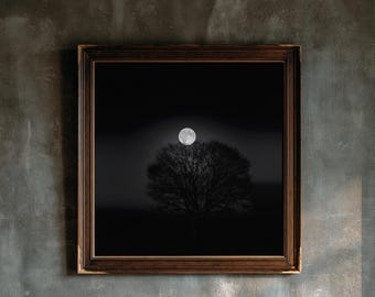 May include: A square wall art piece featuring a dark, monochromatic photograph of a leafless tree silhouetted against a bright full moon in a black sky, encased in a dark brown wooden frame with a textured, ornate inner border detail.