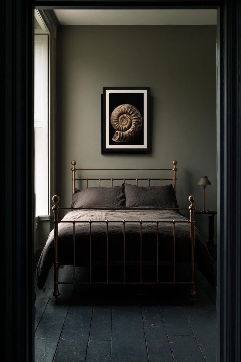 Stampa di un fossile di ammonite a spirale, arte murale dark academia (download digitale) immagine 3