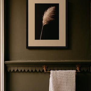 Pampas Grass Herbarium Print, Dark Academia Wall Art, Gothic Cabinet of Curiosities Decor, Digital Download image 3
