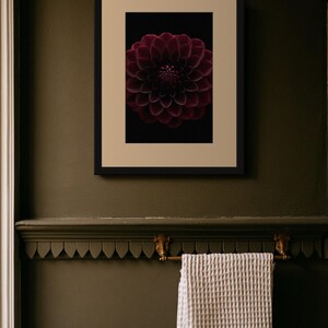 Black Dahlia Print, Dark Academia Wall Art, Gothic Cabinet of Curiosities Decor, Digital Download image 6