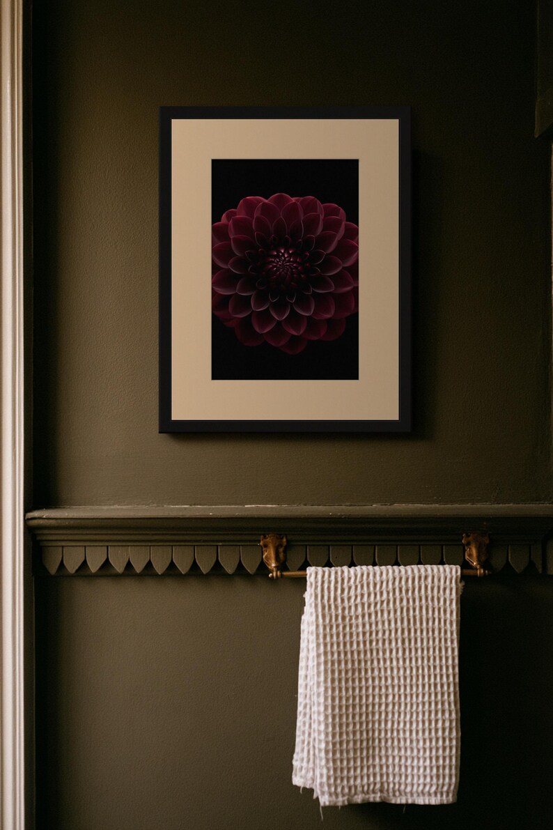 Black Dahlia Print, Dark Academia Wall Art, Gothic Cabinet of Curiosities Decor, Digital Download image 6