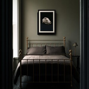 Animal Skull Print, Dark Academia Gothic Decor (Digital Download) image 6