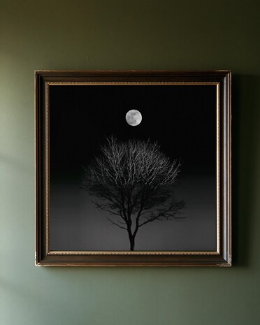 Full Moon Behind Oak Tree print from the Duskwood Fell shop