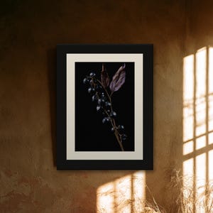 Belladonna Poison Garden Kunstdruck, Dark Academia Wandbild, Dekoration für ein gotisches Kuriositätenkabinett, Digitaler Download Bild 9